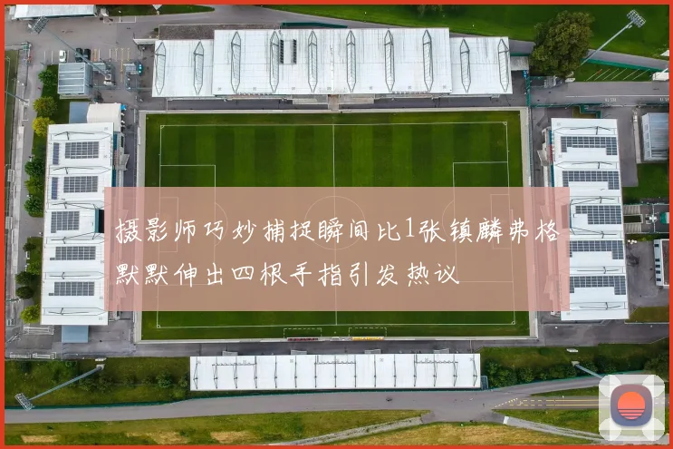 摄影师巧妙捕捉瞬间比1张镇麟弗格默默伸出四根手指引发热议